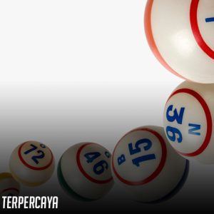 5 bandar togel terpercaya